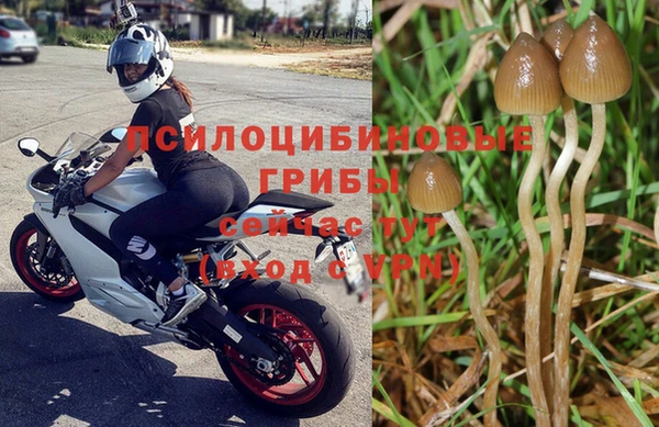 ALPHA PVP Коряжма