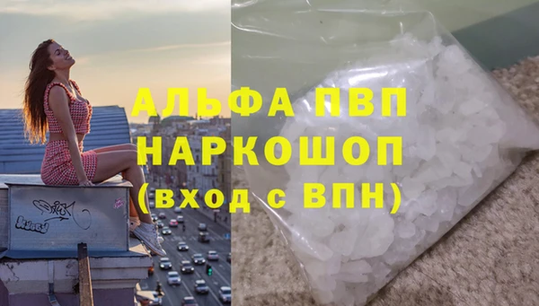 ПСИЛОЦИБИНОВЫЕ ГРИБЫ Корсаков