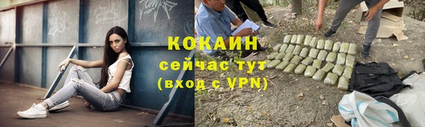 ПСИЛОЦИБИНОВЫЕ ГРИБЫ Корсаков