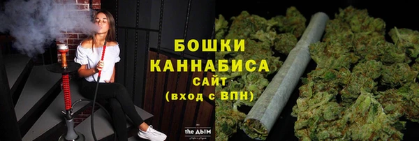ALPHA PVP Коряжма