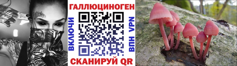 купить закладку  ОМГ ОМГ как зайти  Псилоцибиновые грибы Cubensis  Жуков 