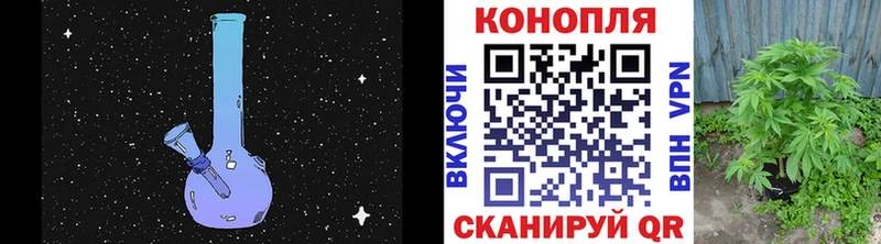 МАРИХУАНА семена  Жуков 
